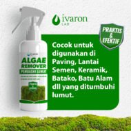 IVARON Pembersih Lumut Lantai Semen Ampuh – Bersihkan Paving, Tembok & Lantai 250ml - Image 5