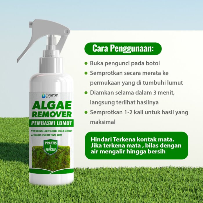 IVARON Pembersih Lumut Lantai Semen Ampuh – Bersihkan Paving, Tembok & Lantai 250ml - Image 4