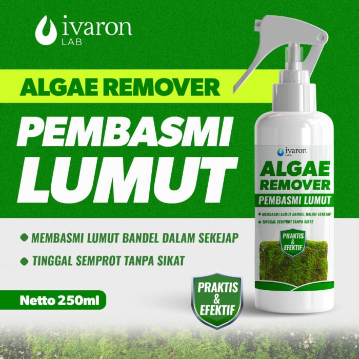 IVARON Pembersih Lumut Lantai Semen Ampuh – Bersihkan Paving, Tembok & Lantai 250ml - Image 7