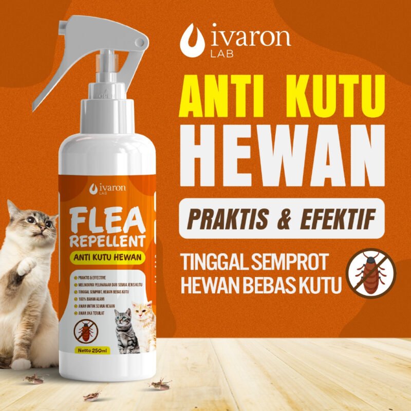 obat kutu kucing