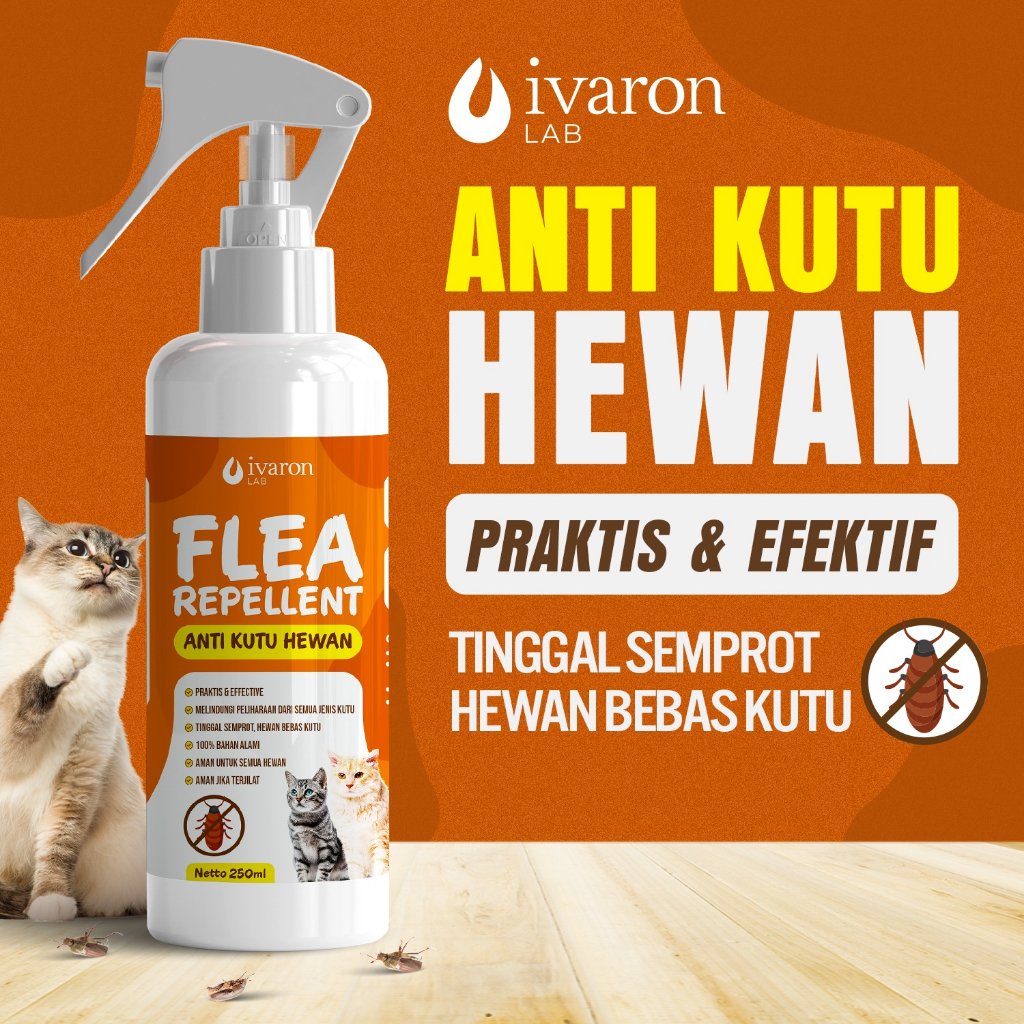 obat kutu kucing