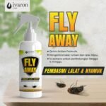 fly away