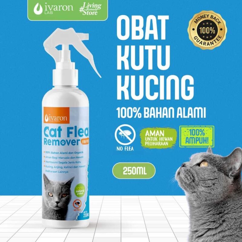 obat kutu kucing ampuh aman dijilat