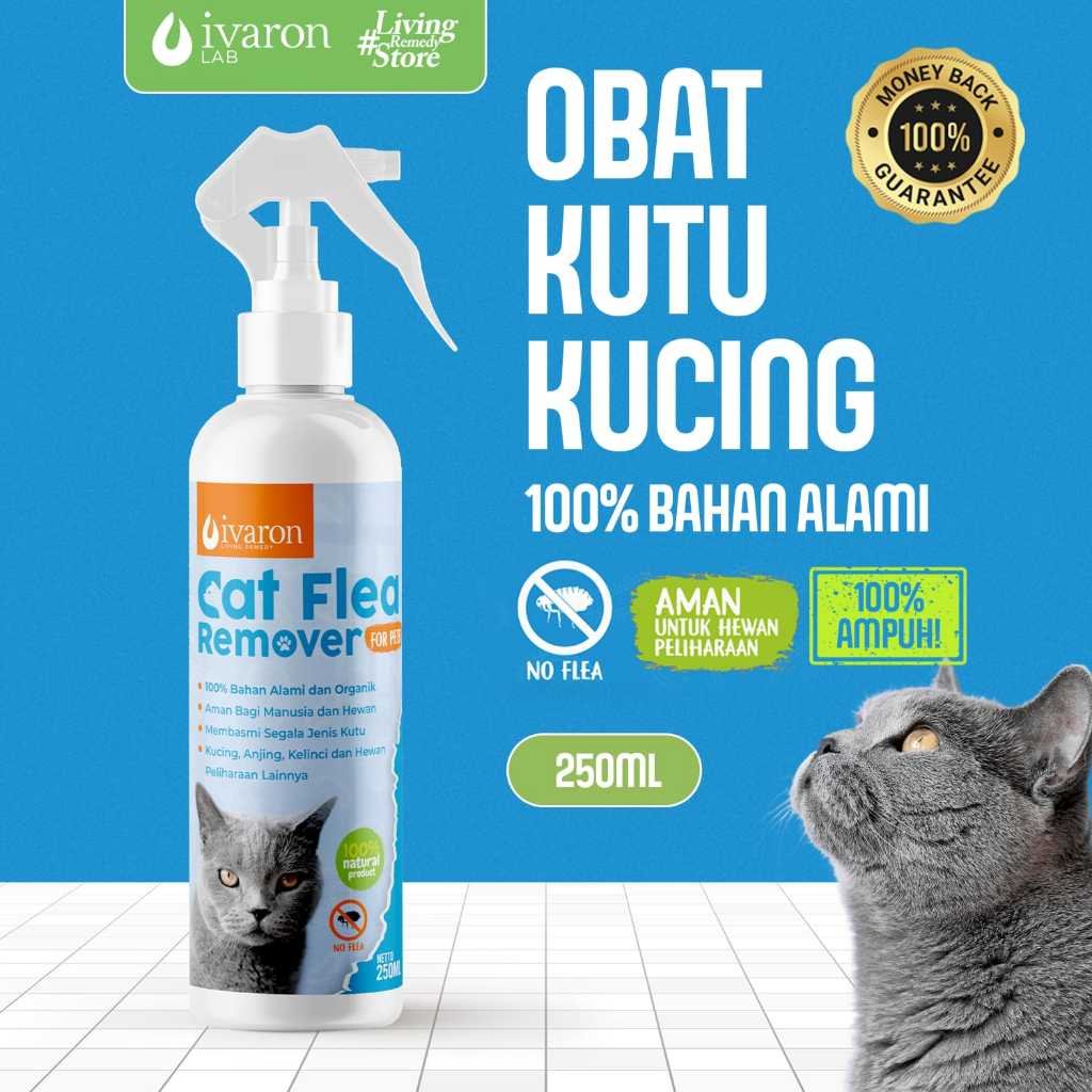 obat kutu kucing ampuh aman dijilat