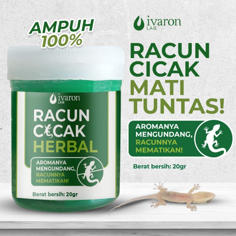 racun cicak