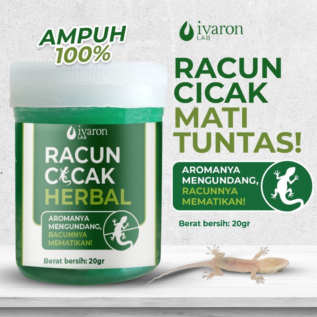 racun cicak