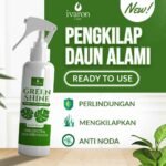 pengkilap daun tanaman hias