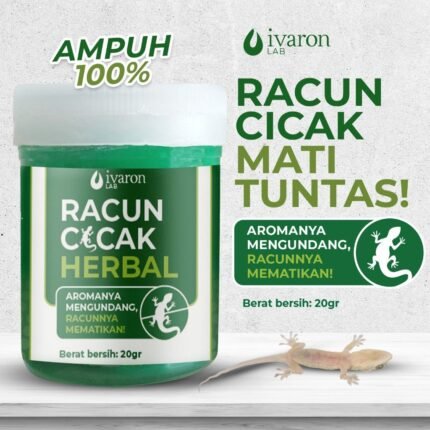 racun cicak