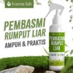 racun rumput