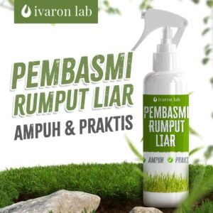 racun rumput