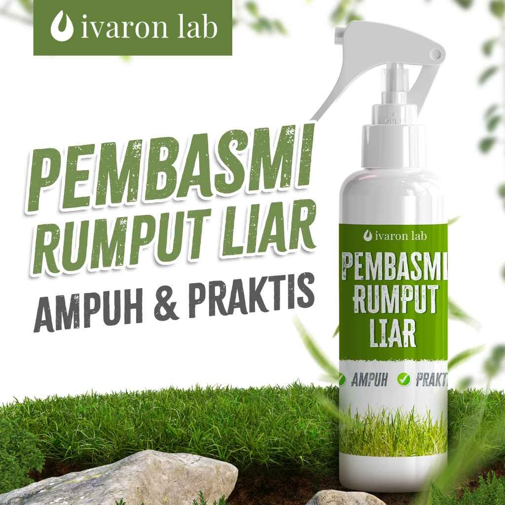 racun rumput